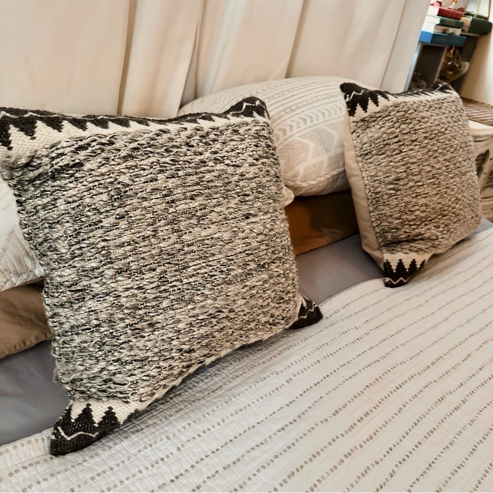 Indoor Outdoor Pillows from Wayfair with Cases and Down Pillow inserts (2 avail) - Picture 3 of 10